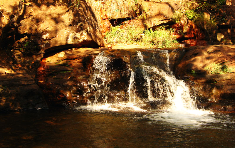 Misty Meadows Pachmarhi